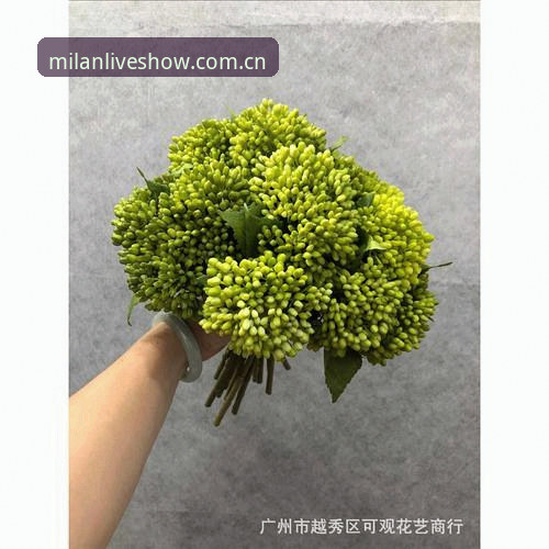 米兰APP果机入口最新版界面重组体验：新版与旧版对比，哪个更顺手？